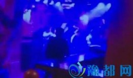 酒吧最新事件爆料视频播放,揭秘幕后真相，视频曝光惊人内幕