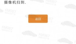 深圳邵先生最新爆料,揭秘事件背后惊人真相！