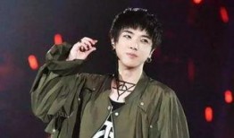 张效节华晨宇最新爆料,揭秘音乐背后的故事与情感