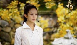 庞莹剧情爆料最新视频,揭秘幕后真相，视频揭露惊人内幕